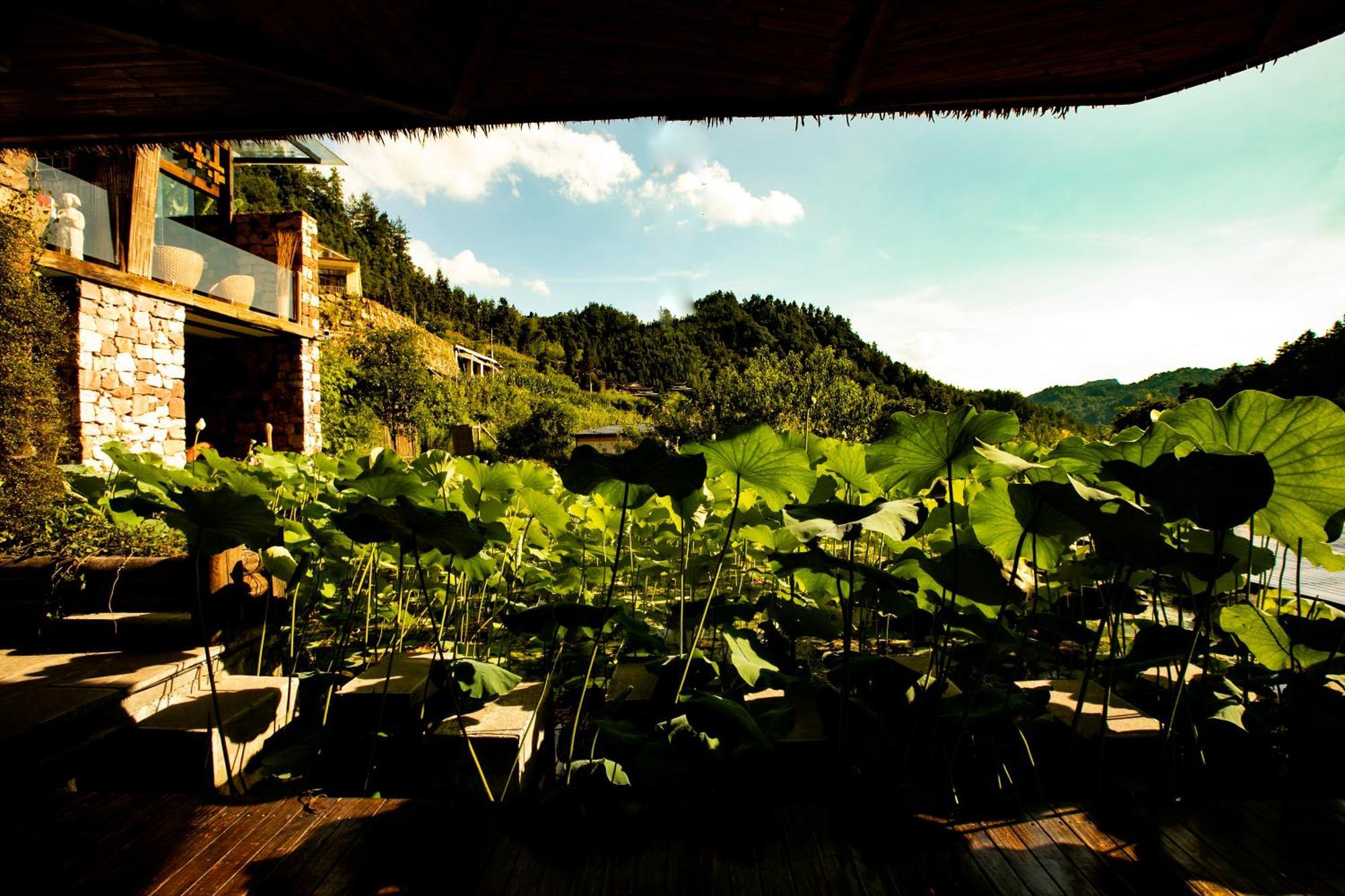 Pandora Vista Retreat Hotel จางเจียเจี้ย ภายนอก รูปภาพ